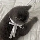 nailist Mikiのプロフィール画像