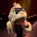 鎌倉 珠莉のプロフィール画像