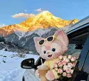 Yan Rainのプロフィール画像