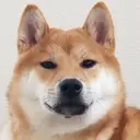 のざわ まいこのプロフィール画像