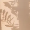 杉浦 琳琳のプロフィール画像