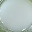 千葉 鴻介のプロフィール画像