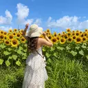 梅田🌺 ハイビスカスネイルのプロフィール画像