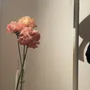 minuit ユヅキのプロフィール画像