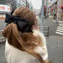 藤井 怜菜のプロフィール画像