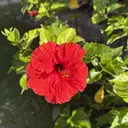 Bianca上大岡店 /ハルナ🌺のプロフィール画像