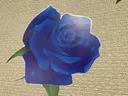 本多 優子のプロフィール画像