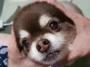 ෆUdono Maiෆのプロフィール画像