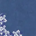 🍀植田 早映のプロフィール画像