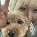 🪩格安モデル 募集中🪩モエ🪩のプロフィール画像
