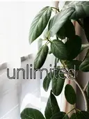 ネイルサロン unlimitedのプロフィール画像