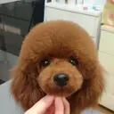O Misakiのプロフィール画像