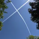 楠木 拓也のプロフィール画像