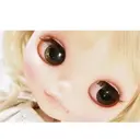 石川 晴妃のプロフィール画像