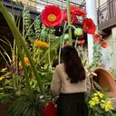 竹田 莉朕のプロフィール画像