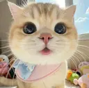 Kawaii _Nailのプロフィール画像