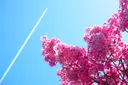 yusen明石店 三浦のプロフィール画像