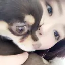 chocolat 杉本のプロフィール画像