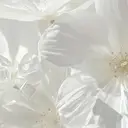 ネイルサロン 【ぷるえむ】のプロフィール画像