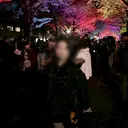 和田 雅姫のプロフィール画像
