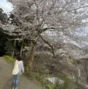 ムライ シヅカのプロフィール画像
