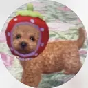 amii ✩ 谷口のプロフィール画像