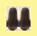 ShellBear 銀座店のプロフィール画像