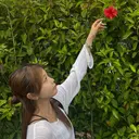 謝花 卯依┆͓̽ モデル募集中🪽⋆*のプロフィール画像