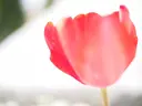 倉元 徳行のプロフィール画像