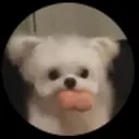 早見 わかばのプロフィール画像