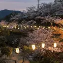 向 康希のプロフィール画像