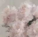 𝐻𝑎𝑛𝑎 / hwaのプロフィール画像