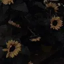 山本 結芽のプロフィール画像