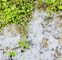 関 沙緒里のプロフィール画像