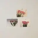 ALBA 札幌|円山のプロフィール画像