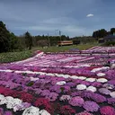 理夢 セプトアカデミーのプロフィール画像