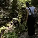 中島 華加のプロフィール画像