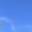 鈴木 桃のプロフィール画像