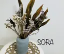 目元専門サロン SORAのプロフィール画像