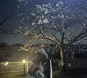 Rimiなかもず店 RION🌼のプロフィール画像