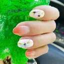 Yori のプロフィール画像