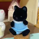 辻井 琴音のプロフィール画像