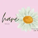 hare nail 荒木のプロフィール画像
