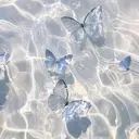 エム ⭐︎のプロフィール画像