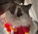 ユ シサンのプロフィール画像
