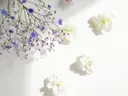honon. プライベートサロンのプロフィール画像