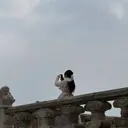 碇本 莉子のプロフィール画像