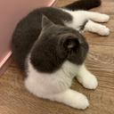 北原 玲奈のプロフィール画像