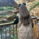 わたなべ かほのプロフィール画像