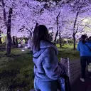 See. HIKARIのプロフィール画像
